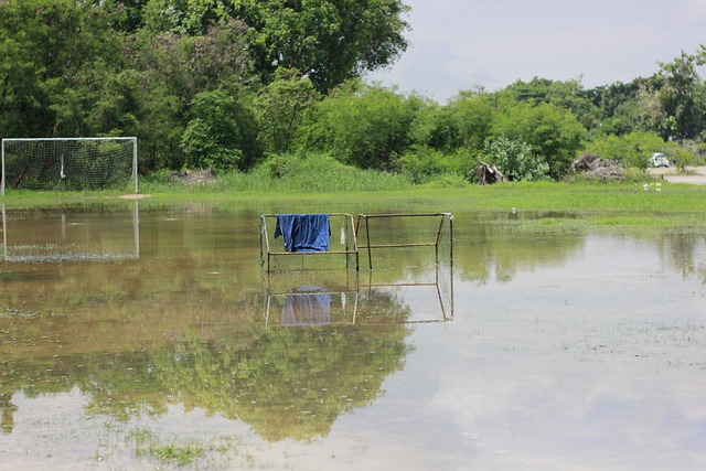 但需要注意 但需要注意