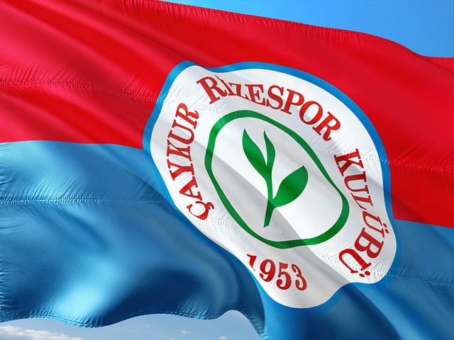 系統和高效 系統和高效