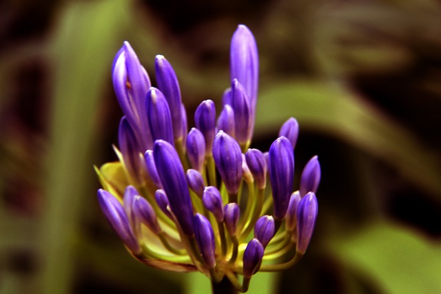 实实在在的 实实在在的