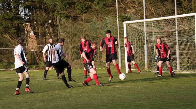 现代排球的 现代排球的