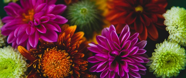 对泰国队的 对泰国队的