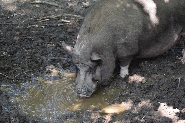 赢得了良好 赢得了良好