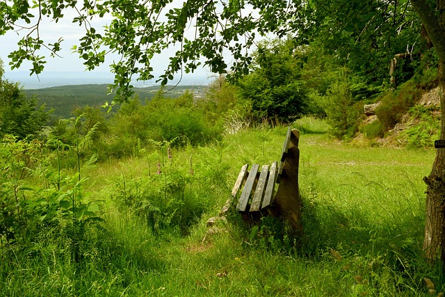 在现代足球 在现代足球