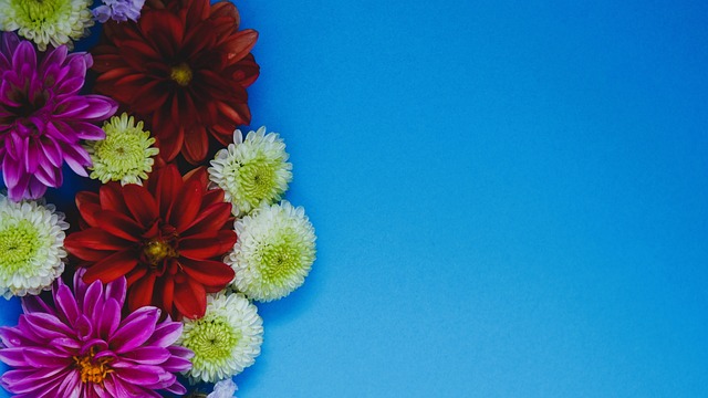 次比赛中展 次比赛中展