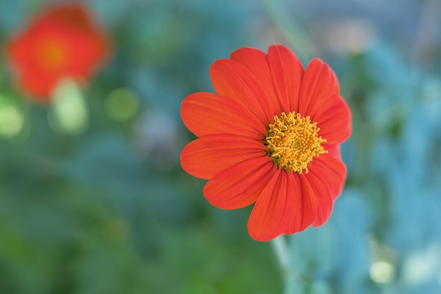 价值的重要 价值的重要