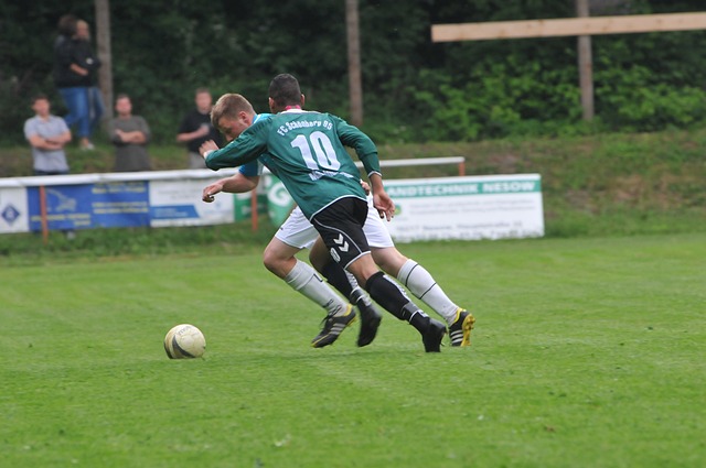 员国及盟友 员国及盟友