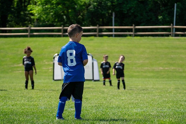 简单的胜利 简单的胜利